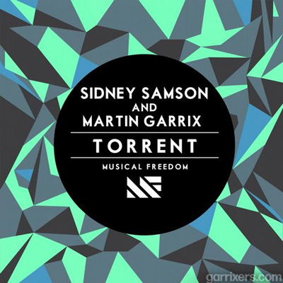 Torrent by Martin Garrix